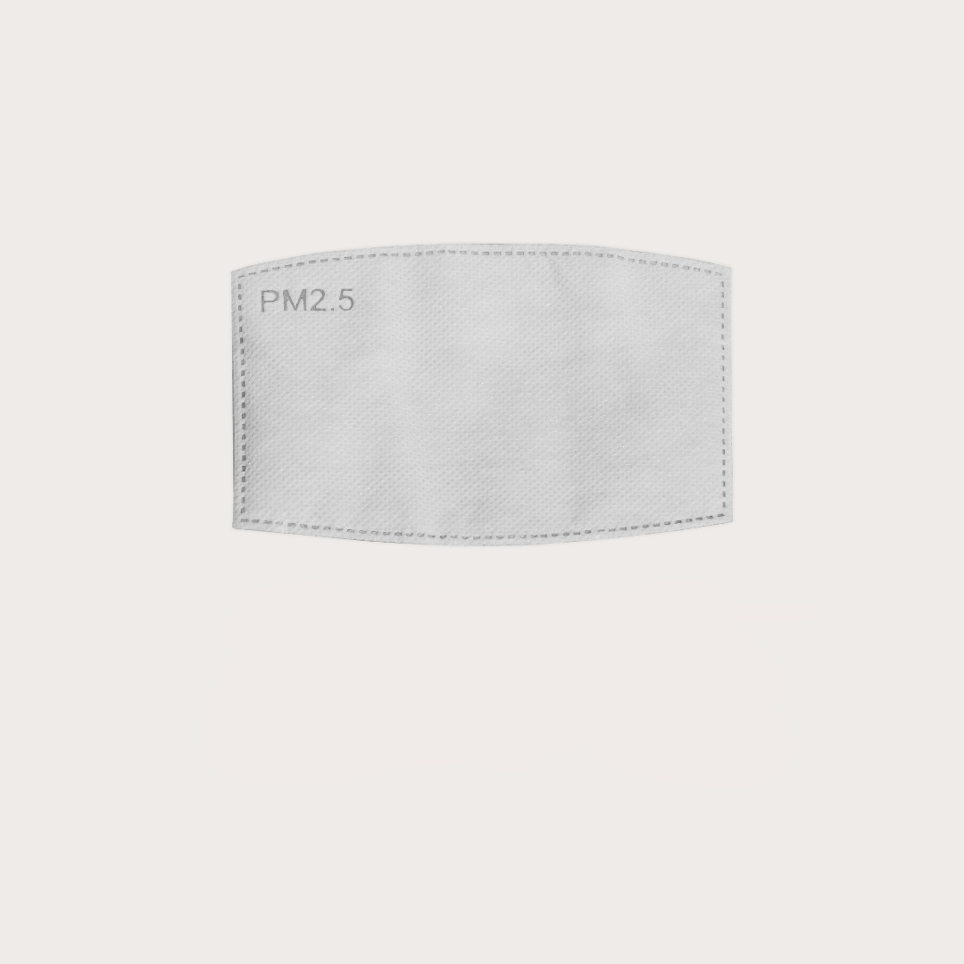Changable PM2.5 Filters (FILTERS FOR ARI MASK) - Do Goods®