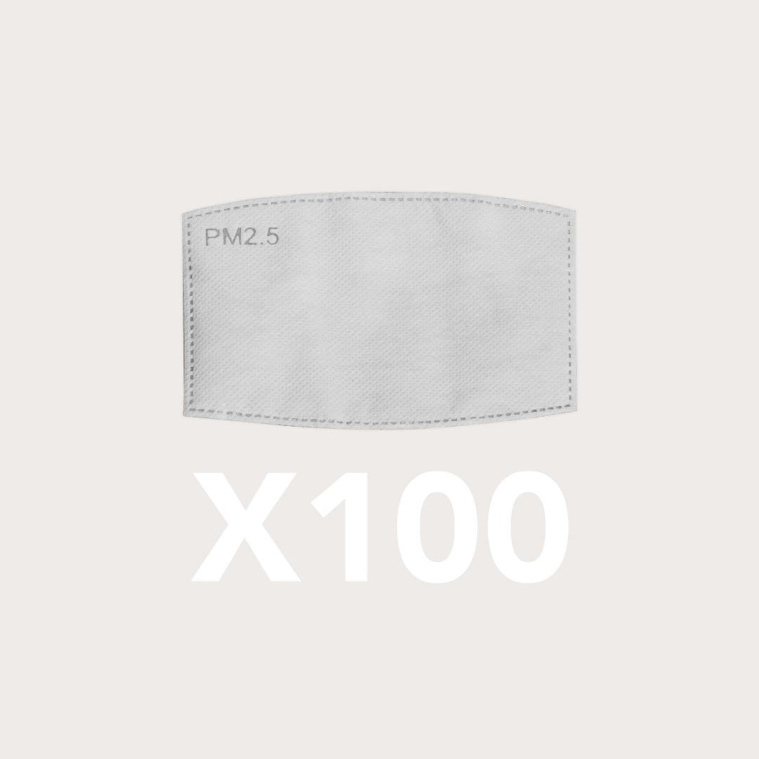 Changable PM2.5 Filters (FILTERS FOR ARI MASK) - Do Goods®